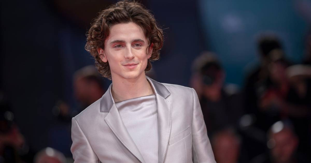 Timothée Chalamet: Who is he?  Age, career, private life and movies