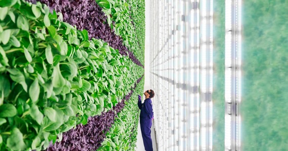 NASA showed off their vertical farms.  They feed the colonists of Mars