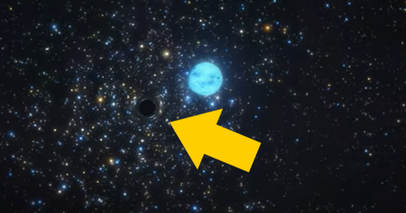 A black hole outside the Milky Way.  Get to know her by star shape