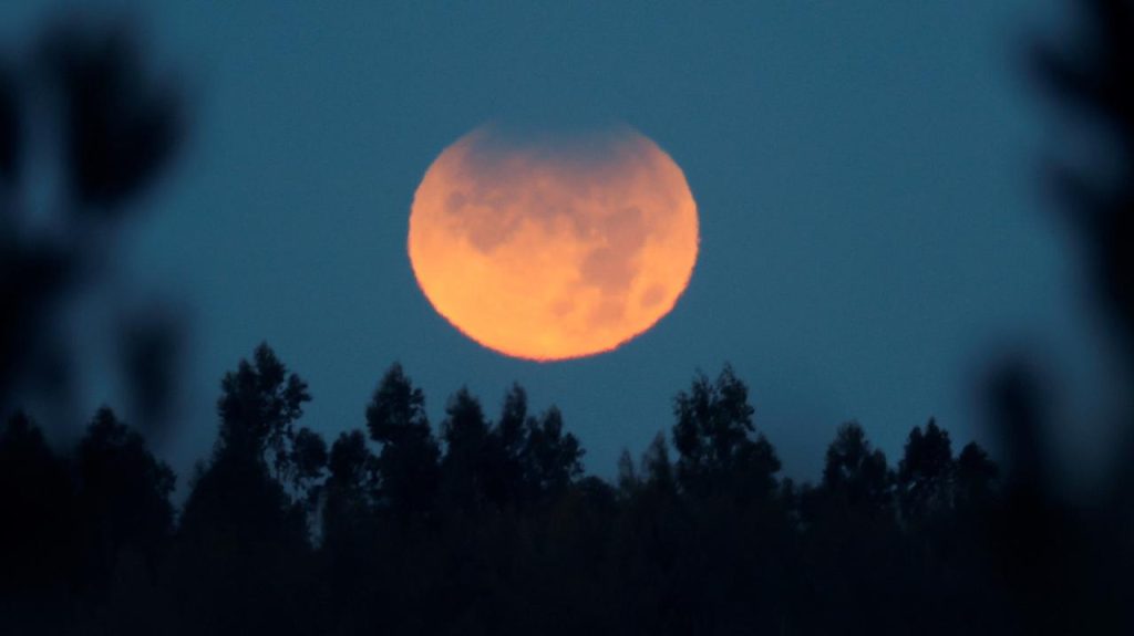 Lunar Eclipse - Friday, November 19, 2021. What time is visible how to observe it.  Lunar eclipse in Poland