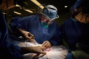 Successful second kidney transplant was performed