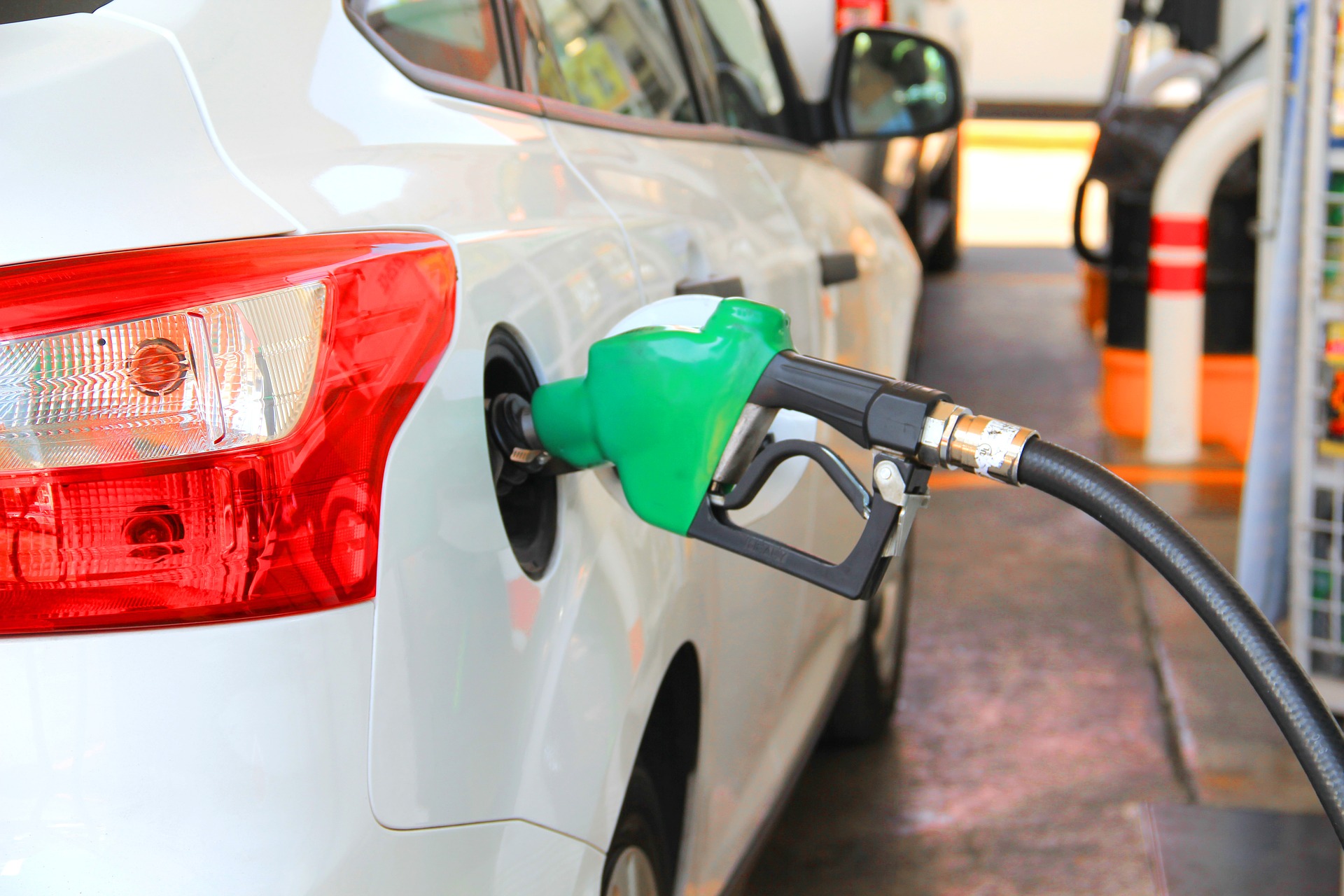 Diesel Fuel Gasoline LPG Prices