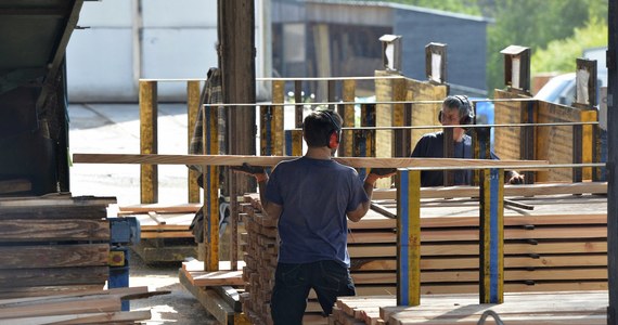 In France, 50 percent of public buildings will be built.  wooden