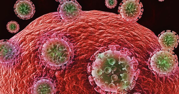 Successful tests of the first HIV vaccine