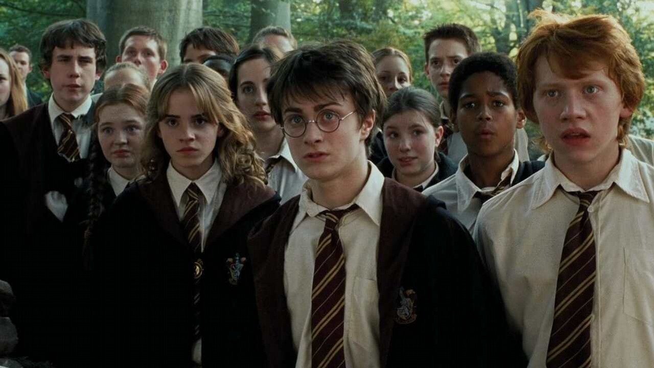 Warner Bros.  I want more Harry Potter.  Studio head about the future of the series