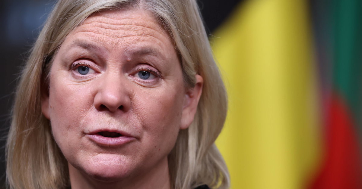 A cleaner has been arrested by the Swedish Prime Minister