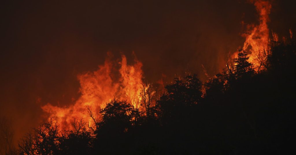Forests are burning in Argentina.  The government issues a fire alarm across the country