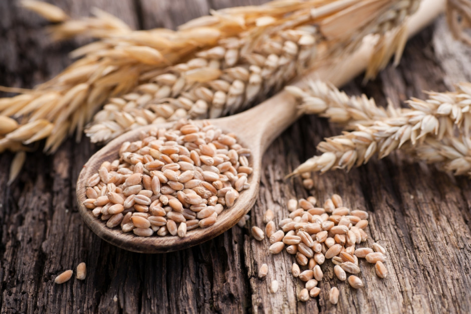 Strong increases in grain prices in global exchanges