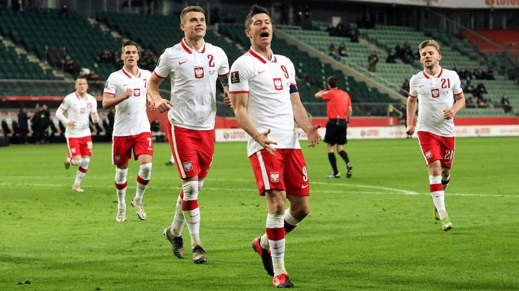 The Russians write about the new Polish determinant.  Nawa³ka is not the main candidate for the Polish national team