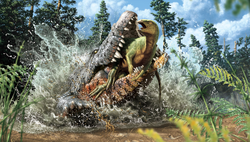 Crocodile fossil with dinosaur.  paleontologists discover australia