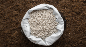 What is happening in the fertilizer market in the world?