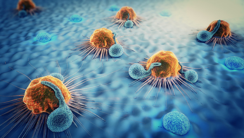 A breakthrough in the fight against cancer.  CAR-T cells are even better