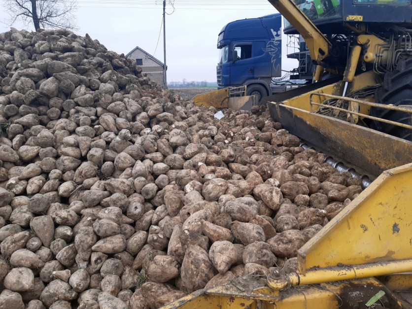 Germany will file a complaint with the European Commission.  They want to abolish subsidies for beet production in Poland