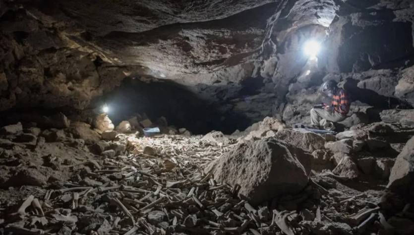 Thousands of human bones have been found in Umm Jarsan Cave