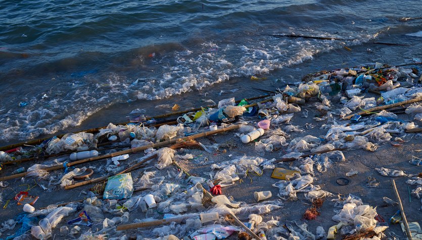 Plastic waste will become a thing of the past.  This enzyme will break them down in no time