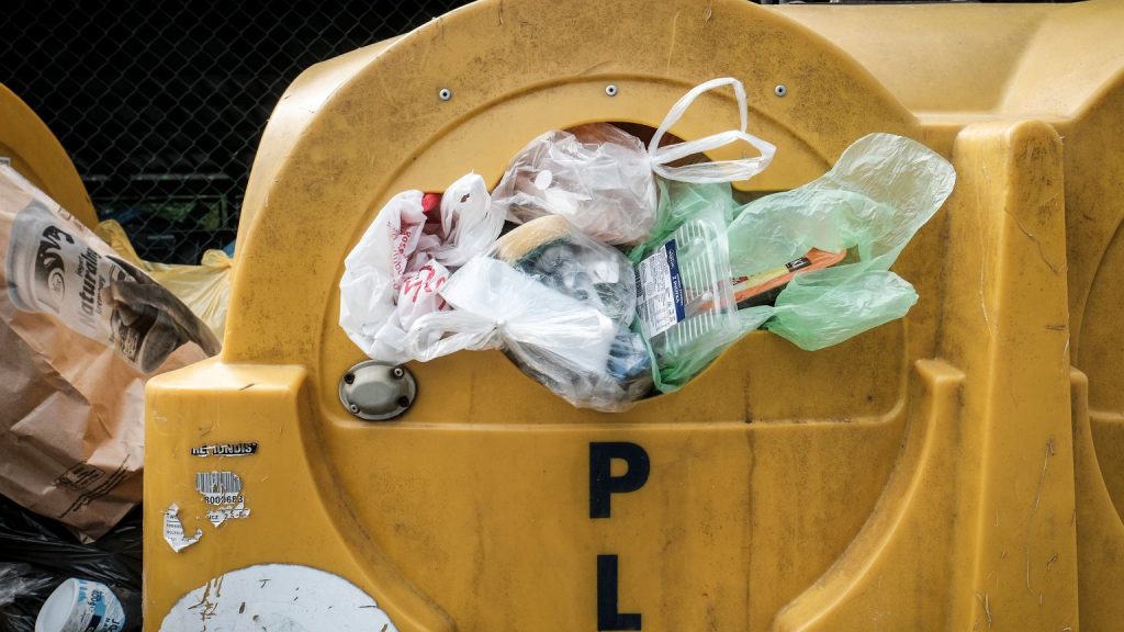 Plastic.  A new discovery by scientists.  Plastic can degrade in record time