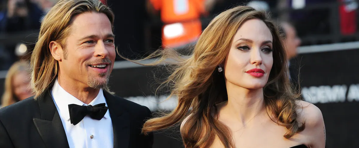 Brad Pitt has accused Angelina Jolie of having "evil intentions" in her wine sales