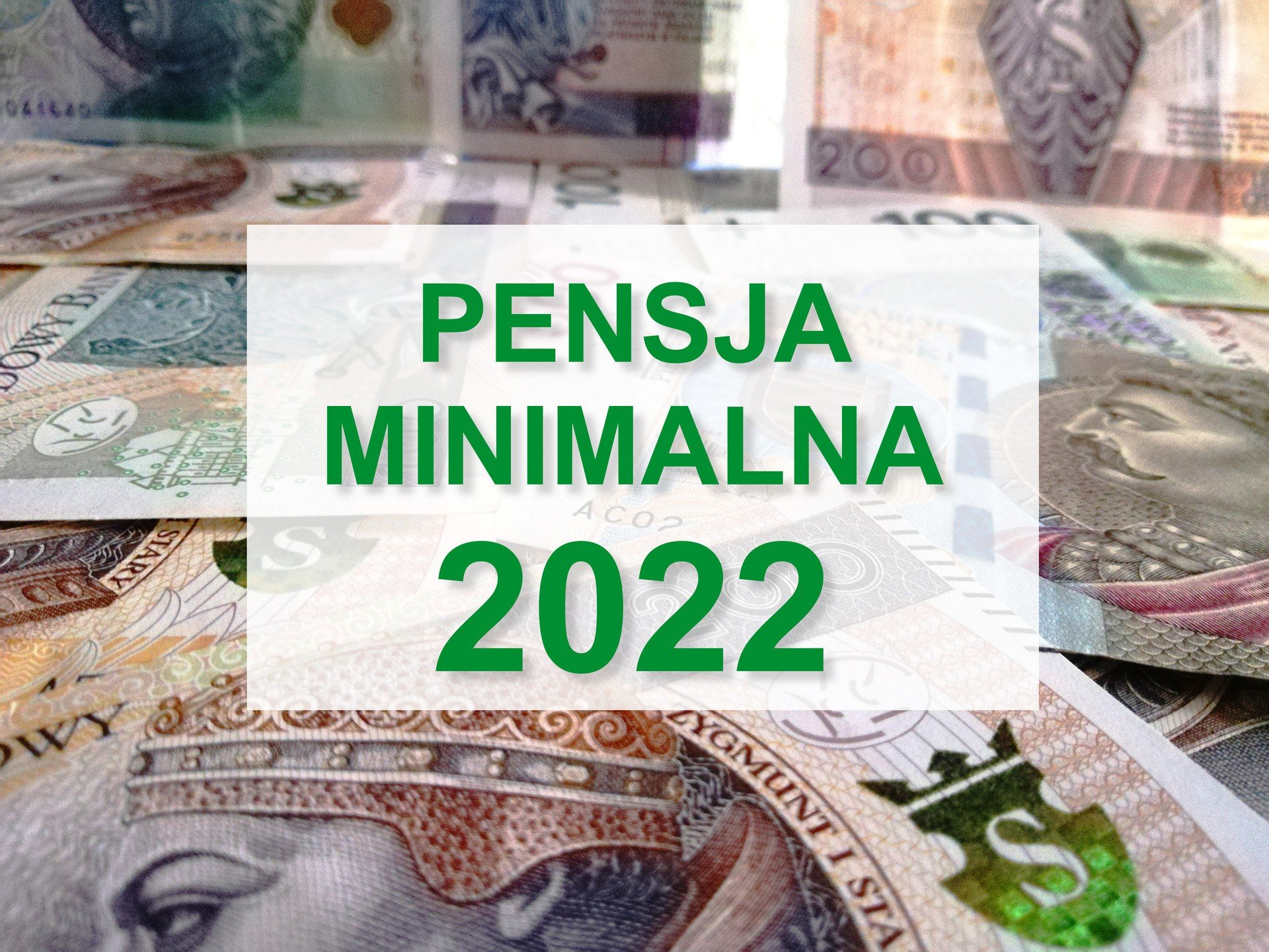 Minimum wage 2022. How much should your boss pay you in July?  We don't have good news [30.06.2022]