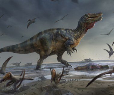 Great Britain.  The largest predatory dinosaur has been discovered in Europe