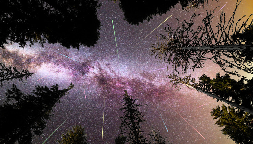 Perseids 2022: When and where do you watch the meteor shower?  NASA gives history