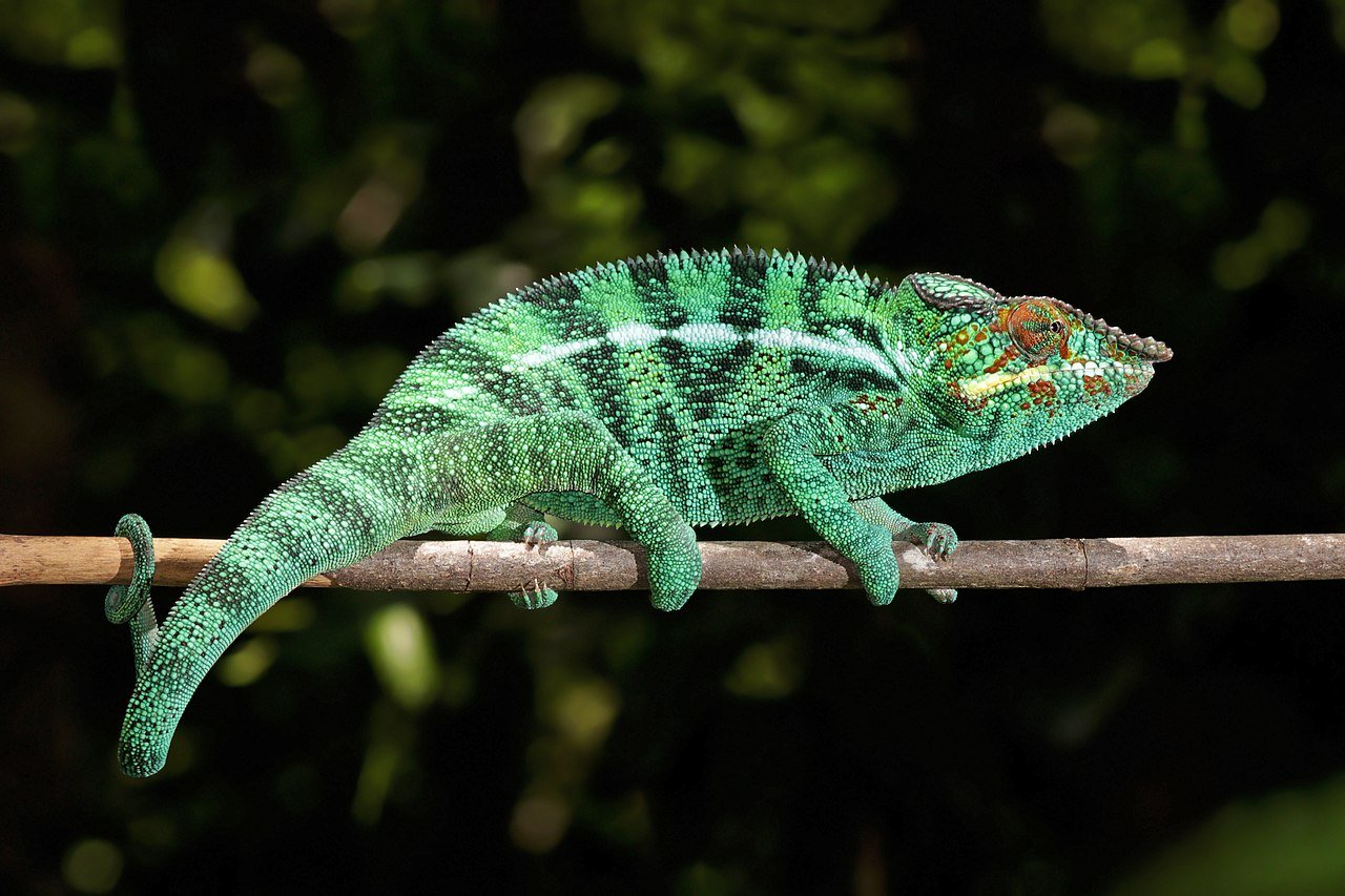 A substance that acts like a chameleon.  Impressive solution straight from MIT