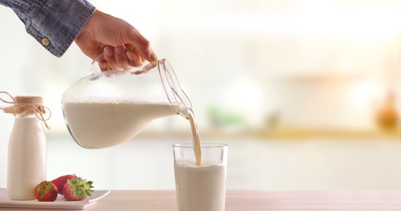 W sklepach może zabraknąć mleka – alarmuje Związek Polskich Przetwórców Mleka. Taką sytuację mogą spowodować problemy z dostawami energii elektrycznej i gazu. Organizacja apeluje do rządu o pilną reakcję.