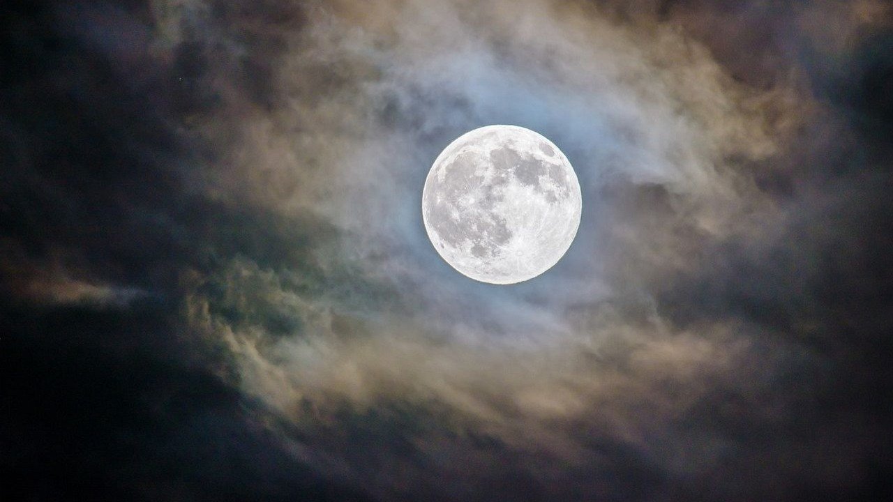 Another super moon this year.  What gets you excited?