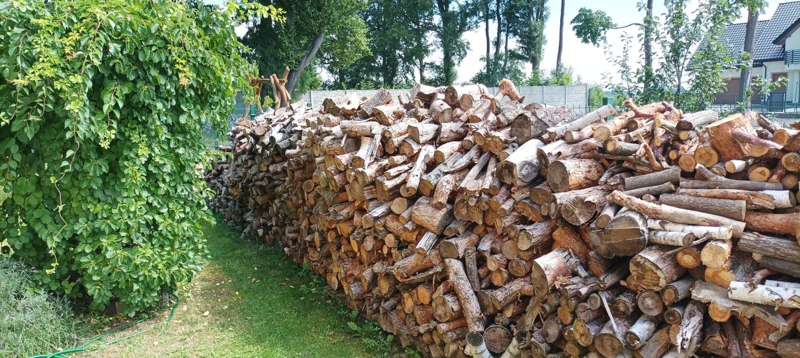 Firewood in Silesia in the 2022 season. What are the prices in forest areas?  Cruelty and self-made - what conditions must be met?