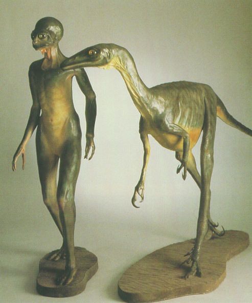 dinosaur models and troodon