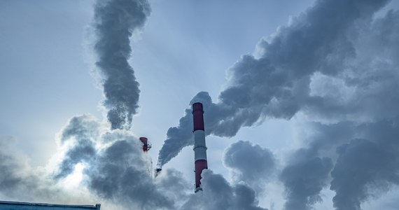Amerykański zespół znalazł sposób na 100 proc. zamianę dwutlenku węgla w etylen - cenny surowiec dla wielu technologii. Wytwarza się z niego plastik i różnego rodzaju związki chemiczne.