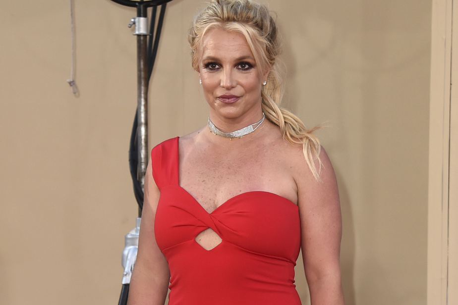 Britney Spears has once again slammed her bodyguard on Instagram
