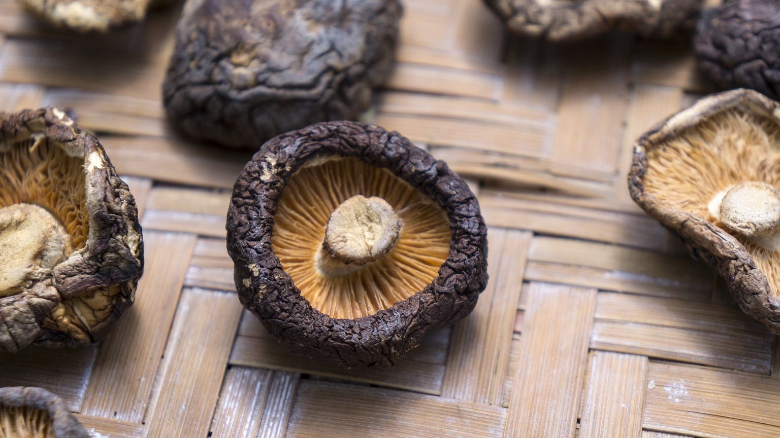mushrooms (background image)