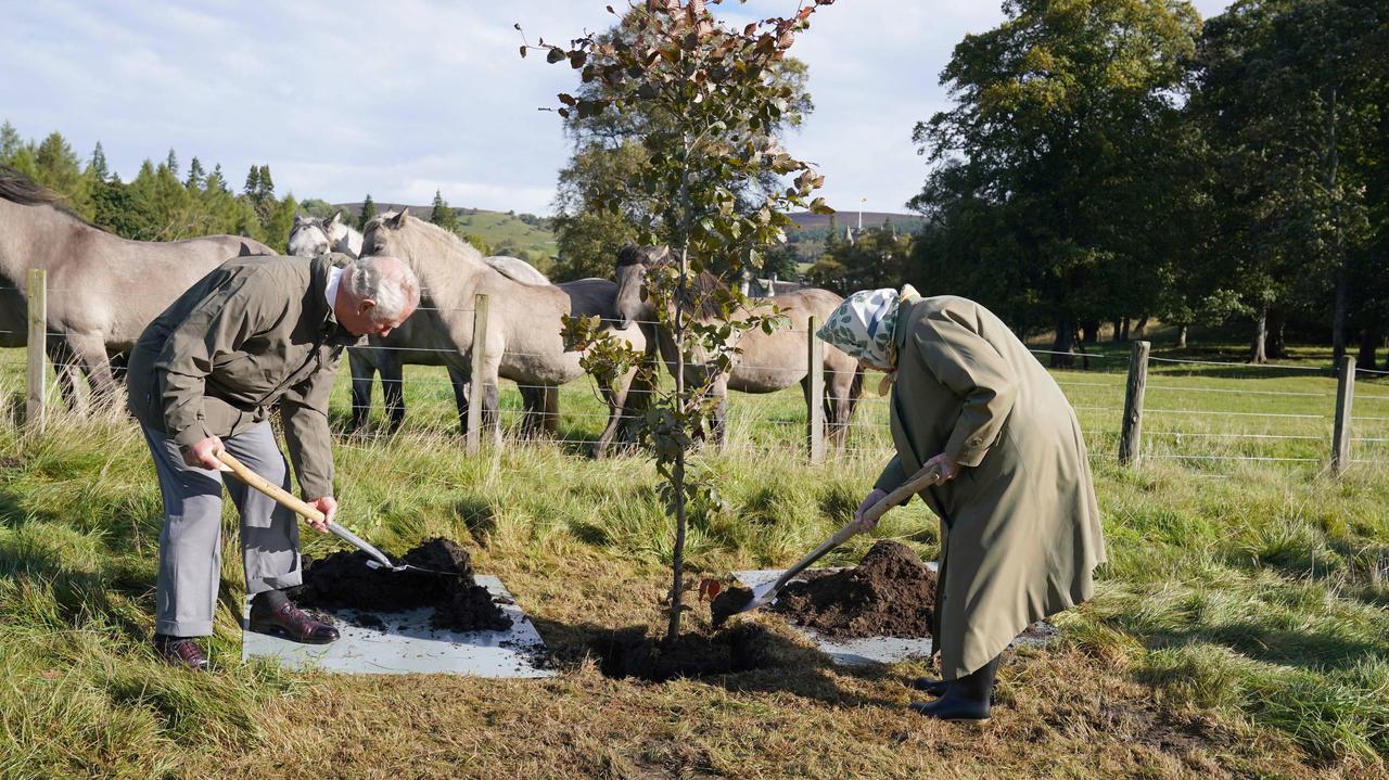 Queen Elizabeth II and Environmental Issues.  Enhancing the environment and combating climate change