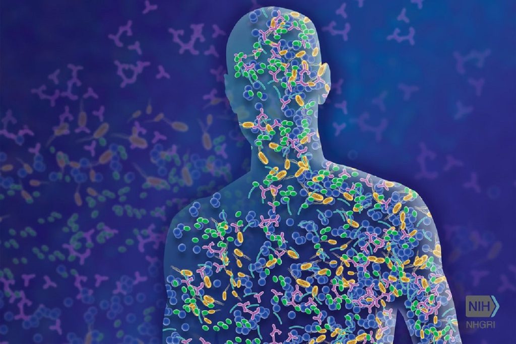 They made the human microbiome in the lab.  How did that happen?