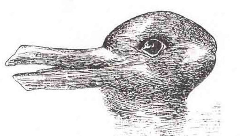 Duck, rabbit or both?  What did you see in the picture?  Explanation