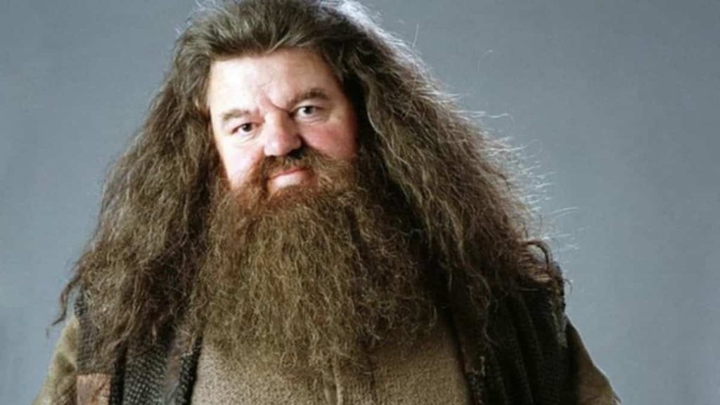 'Harry Potter' actor Robbie Coltrane of Hagrid has died