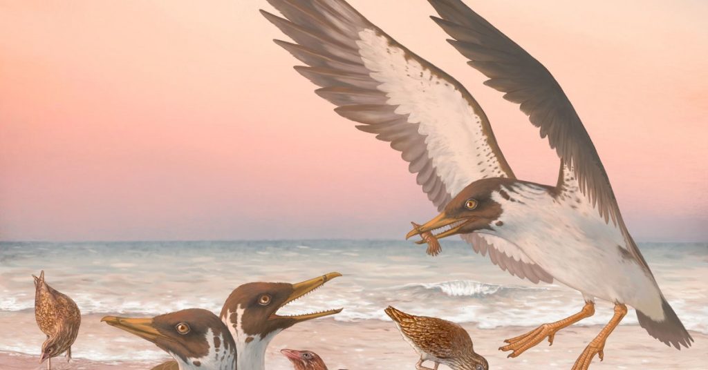 The fossil disproves the basic belief about the evolution of birds