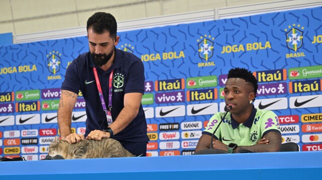 World Cup 2022. A cat at the Brazil national team conference in Qatar - World Cup 2022