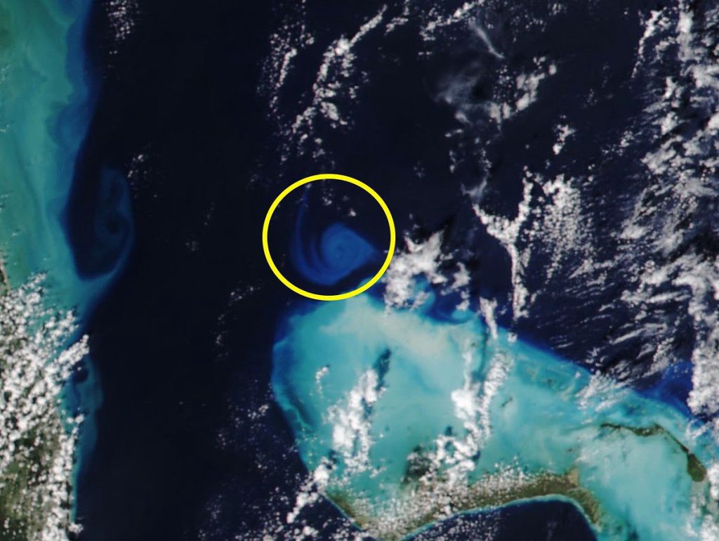 Satellite images terrified scientists.  This is what they saw in the Atlantic - O2