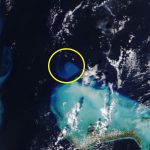 Satellite images terrified scientists.  This is what they saw in the Atlantic – O2